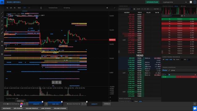 Leverage Trading Tips Using The Order Book & TensorCharts