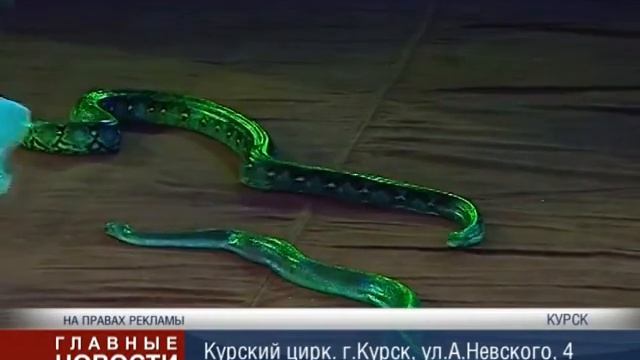 Такой цирк нам нужен смотреть онлайн