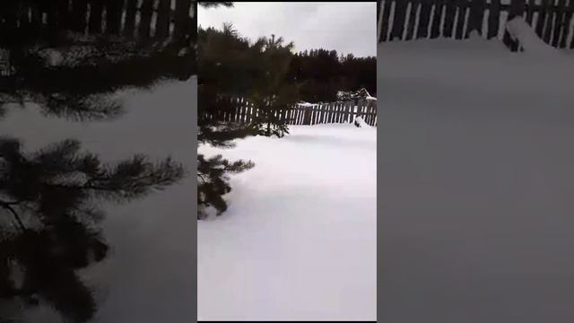 зимний день смотреть онлайн