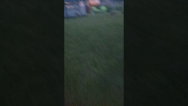 Лето, вечер, выходные. смотреть онлайн