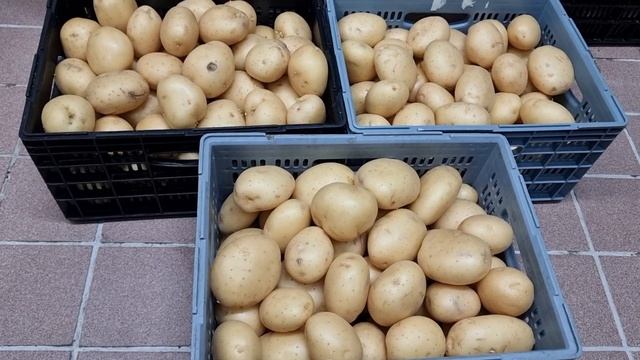 Рынок Женский Базар в Софии смотреть онлайн