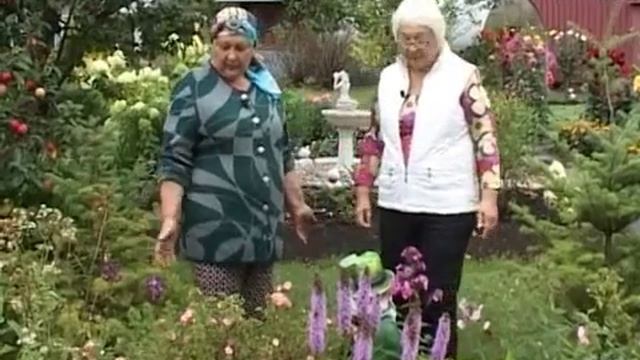 Дачные советы 18.09.2015 смотреть онлайн