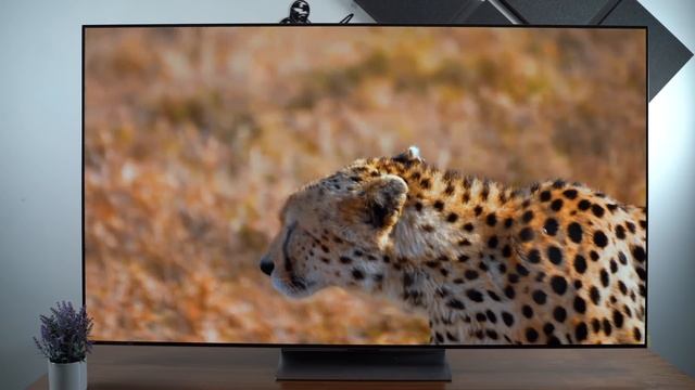 i NUOVI TV OLED di LG 2024 SPACCANO! LG OLED C4, G4, M4 e B4 смотреть онлайн