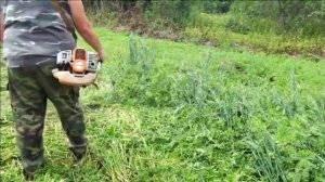 Вика-овсяная смесь -- как сидерат,источник органики и азота.