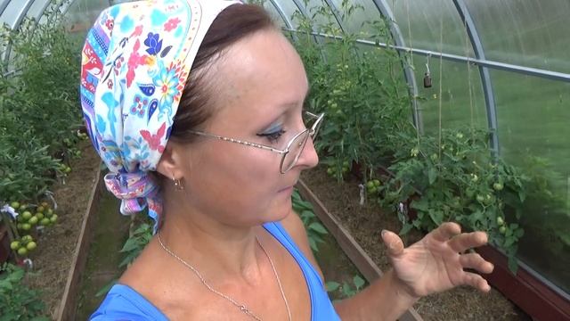 6 соток 15 июля. смотреть онлайн