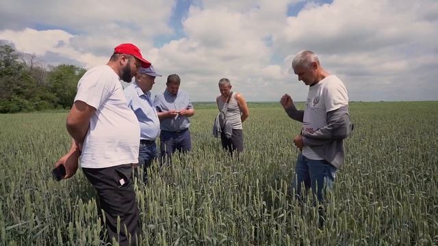 Путешествие по полям Александра Федоренко смотреть онлайн