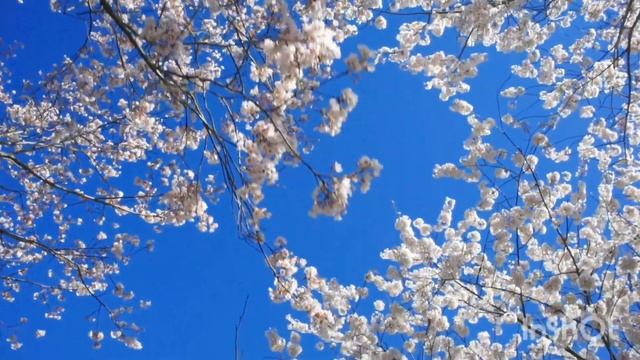 Если хочешь спать лучше не смотри. Сон за 5 минут смотреть онлайн