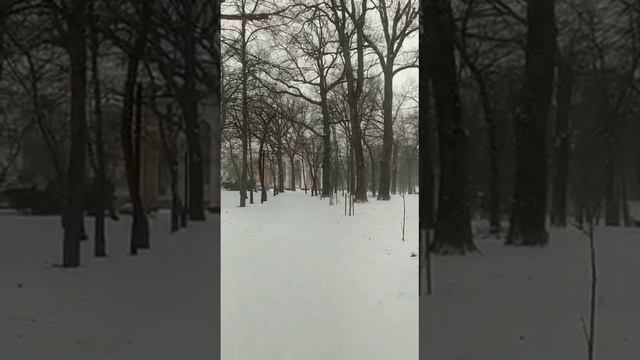 Настроение СНЕГ! Краснодар смотреть онлайн
