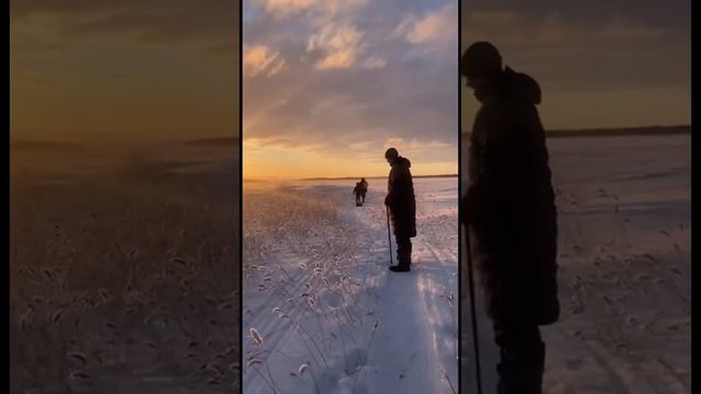 Зимняя сказка, рыбалка, мороз и красота смотреть онлайн