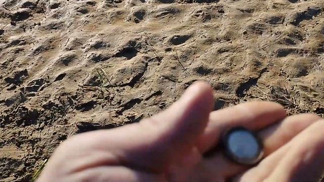 Реванш. Коп на пляже возле Полыкович,г Могилёв.#metaldetectorhobby #могилевonline #belarus #коп смотреть онлайн