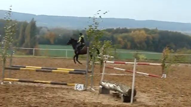 Monča a Tango , 70-80 cm смотреть онлайн