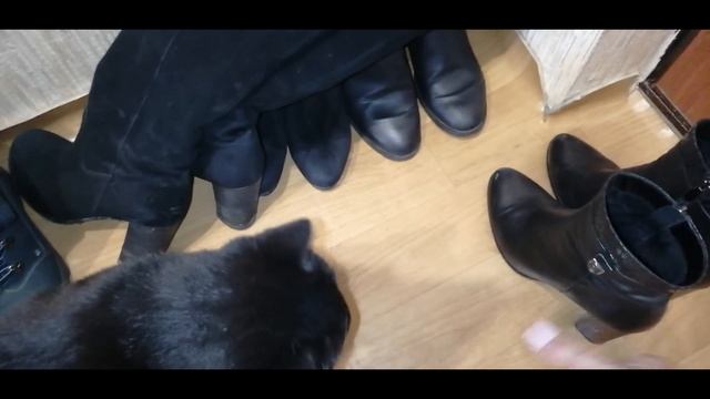 ? ВЛОГ / ОЛАДЬИ на КЕФИРЕ / МОЮ КИСТИ / Моя обувь