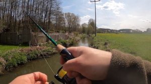 Приключения на рыбалке. На этот раз сломал спинниг от Shimano Technium Trout Area 186SUL. Форель