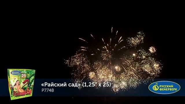 Салют Райский сад 25 залпов смотреть онлайн