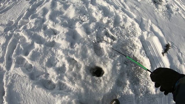 СУДАК и БЕРШ на РАТТЛИНЫ! Первая рыбалка в новом году на Волге под Васильсурском! смотреть онлайн