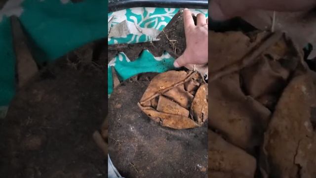 7 апреля 2022 г. смотреть онлайн