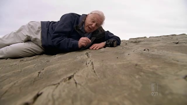 David Attenborough's First Life Episode 1 Arrival смотреть онлайн