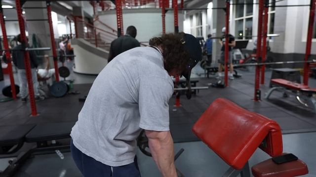 Winter Bulk Day 6 - Arms