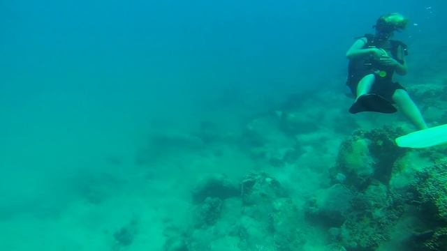 Diving in South China Sea 2014 Vietnam Nha Trang. Вьетнам, Ня Чанг, Дайвинг (GoPro HERO3 HD1080p) смотреть онлайн