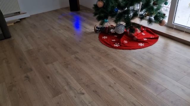 Влог 462 Мой день рождения/день после/весёлое утро/из Германии в Калининград/Россия смотреть онлайн