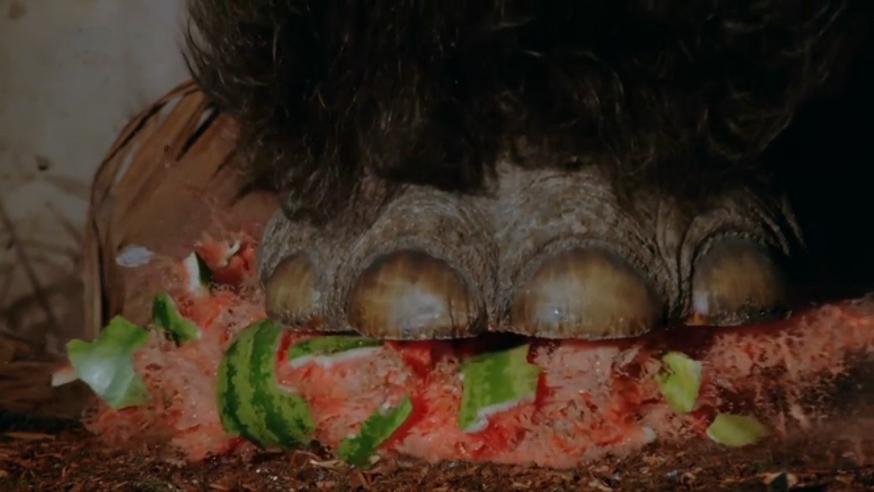 Мамонт - крушитель. В Слоу Мо смотреть онлайн