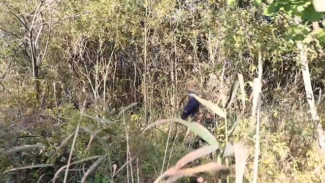 Как мы ''пролетели'' с покупкой дома на берегу озера ? смотреть онлайн