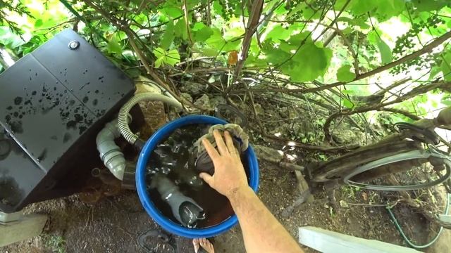 Фильтр для пруда из бочки. Предфильтр. Делаем воду в пруду тёмной с помощью торфа.