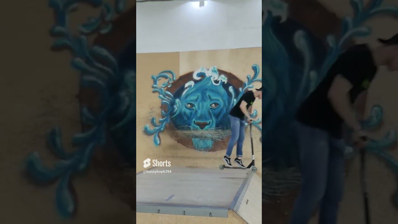 ㊙Тренды из Тиктока ㊙ в скейт парке BunnyHop смотреть онлайн