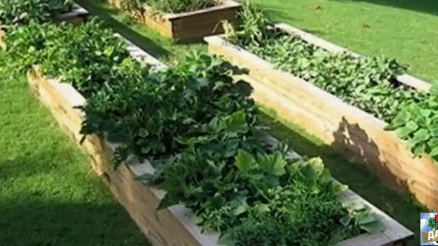 КАК СДЕЛАТЬ УДОБНЫЕ ГРЯДКИ СВОИМИ РУКАМИ Красивые грядки в саду и на даче смотреть онлайн