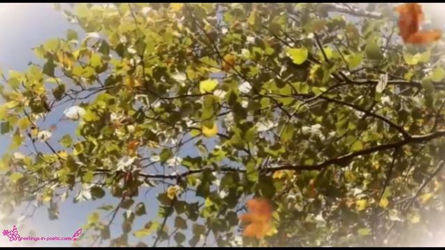 Видео под гитару с Дём Учителя смотреть онлайн