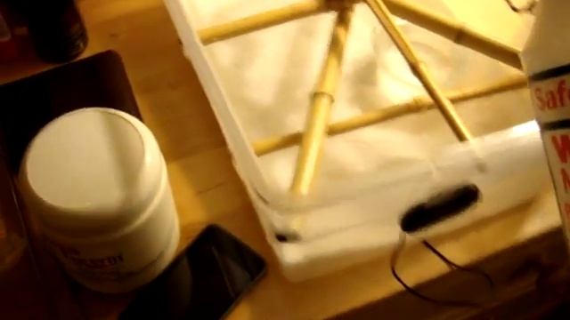 Green Tree Python Care Video (NOT ALL OF THE INFO YOU WILL NEED TO KNOW ABOUT THE SPECIES!!!) смотреть онлайн