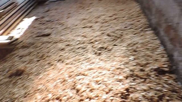 Опилкобетон(арболит)Закончили с земляными полами.Занесли доски ждем когда сделают дорогу смотреть онлайн