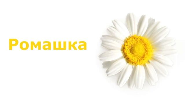 Первые слова для малыша в картинках. Развивающее видео для детей. Учим слова для детей 1-3 года. #3 смотреть онлайн
