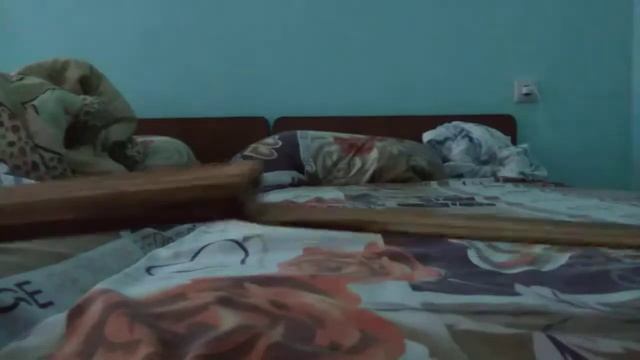 Катана из дерева смотреть онлайн