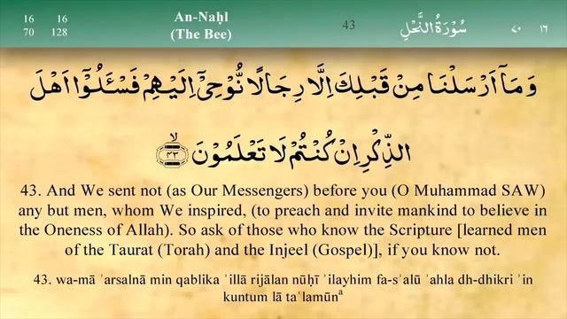 Para 14 Fast & Beautiful Recitation Of Quran With English Translation | Quran Tilawat || Holy Quran
