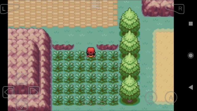 How to Get All Lycanroc Forms? Evolve Rockruff (set the clock) - Pokemon Radical Red 2.1 GBA смотреть онлайн