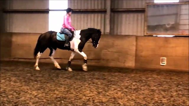 Horses recently 💖 смотреть онлайн