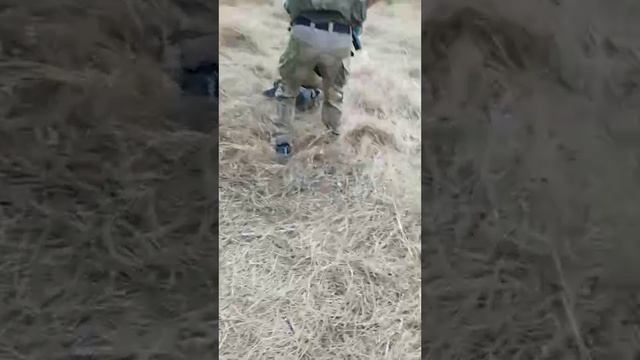 ??Очередные мобилизованные украинцы сдались в плен, выбрав жизнь❗️? смотреть онлайн