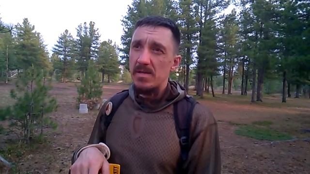 Пять дней прогулок по Кедровой роще. смотреть онлайн