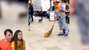 СМЕШНЫЕ КОТЫ СНИМАЮТ ТИКТОК 🙀! Коты и Собаки в ШКОЛЕ! НЕ ЗАСМЕЙСЯ ЧЕЛЛЕНДЖ Funny Cats Валеришка