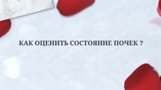 Лечение почек / Камни в почках лечение