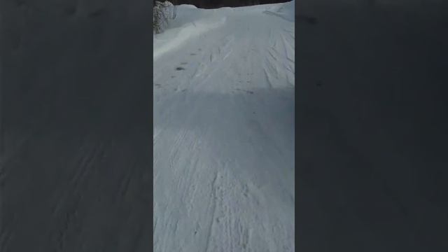 как экономить на покупке воды. Поездка на родник смотреть онлайн