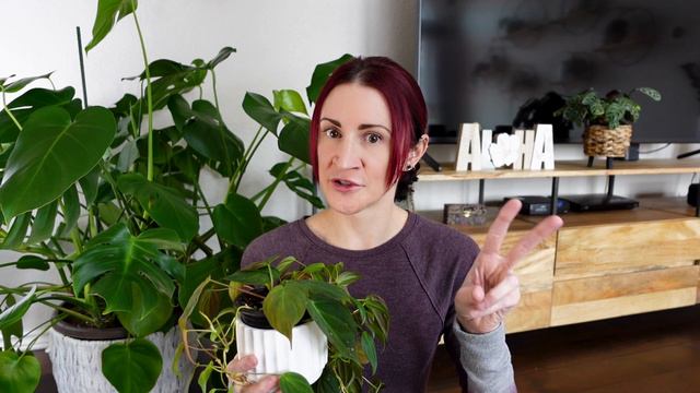 Mind-Blowing Plant Growth Discoveries + Other Unexpected Plant Updates