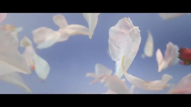 Ziaja Acai berry video for internet use смотреть онлайн