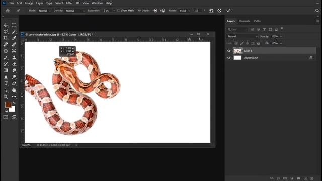 05 Best Photoshop SECRETS, TIPS, and TRICKS | Every Adobe Photoshop User Must Know смотреть онлайн