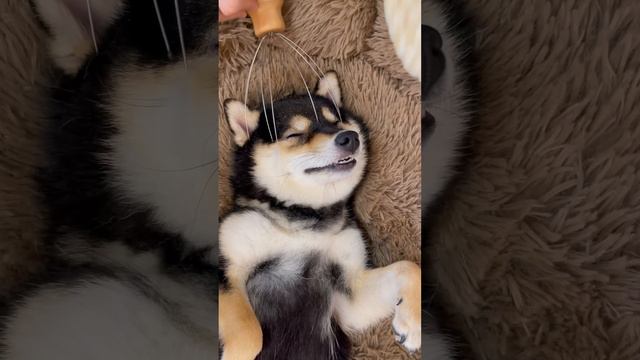 曼玉manyu沉浸式护理spa Asmr