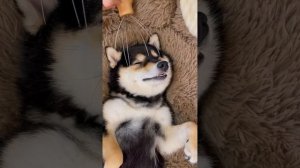 曼玉manyu沉浸式护理spa asmr