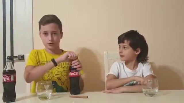 Кока кола синамона с корицей обзор