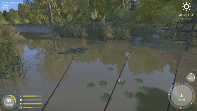 Толстолобик белый на реке Сура. Русская Рыбалка 4 / Russian Fishing 4 смотреть онлайн