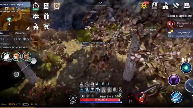 Епископы и тайный орден ► Black Desert Mobile #10 смотреть онлайн